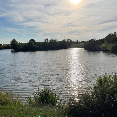 Confortable Ville A Deux Pas De Toulouse Tournefeuille Exteriér fotografie